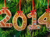 2014 New Year Gingerbread Cookies 3D