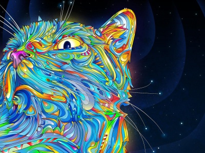 2d Colorful Colorful Cat