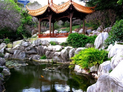Chinese Garden Sydney Nsw Australia