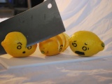 Food Funny Lemons