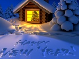 Happy New Year In The Snow