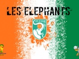 Les Elephants Ivory Coast Football Crest