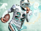 Miami Dolphins American Football Reggie Bush