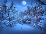 Moonlight On The Snowy Woods