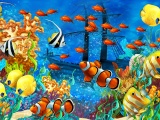 Underwater Fish World