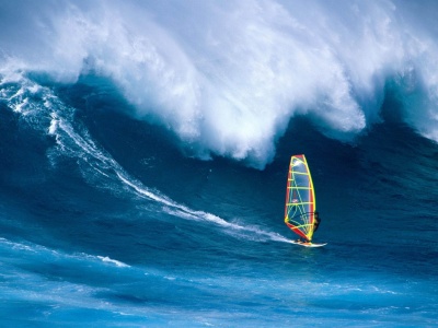 Wind Surfing Surfer