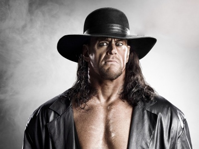 Wwe Superstars Career Wrestling King Undertaker Rip