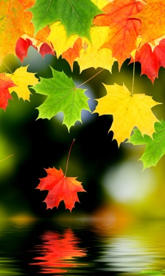 3d Autumn Leaves