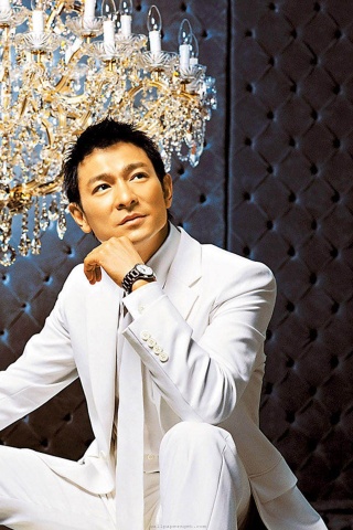 Andy Lau Hong Kong Cantopop Singer Actor Film Producer Superstar Successful Men