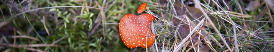 Apple Red Mushroom Background Computer