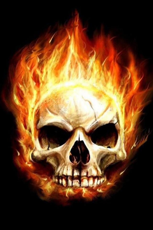 Art Flaming Skull