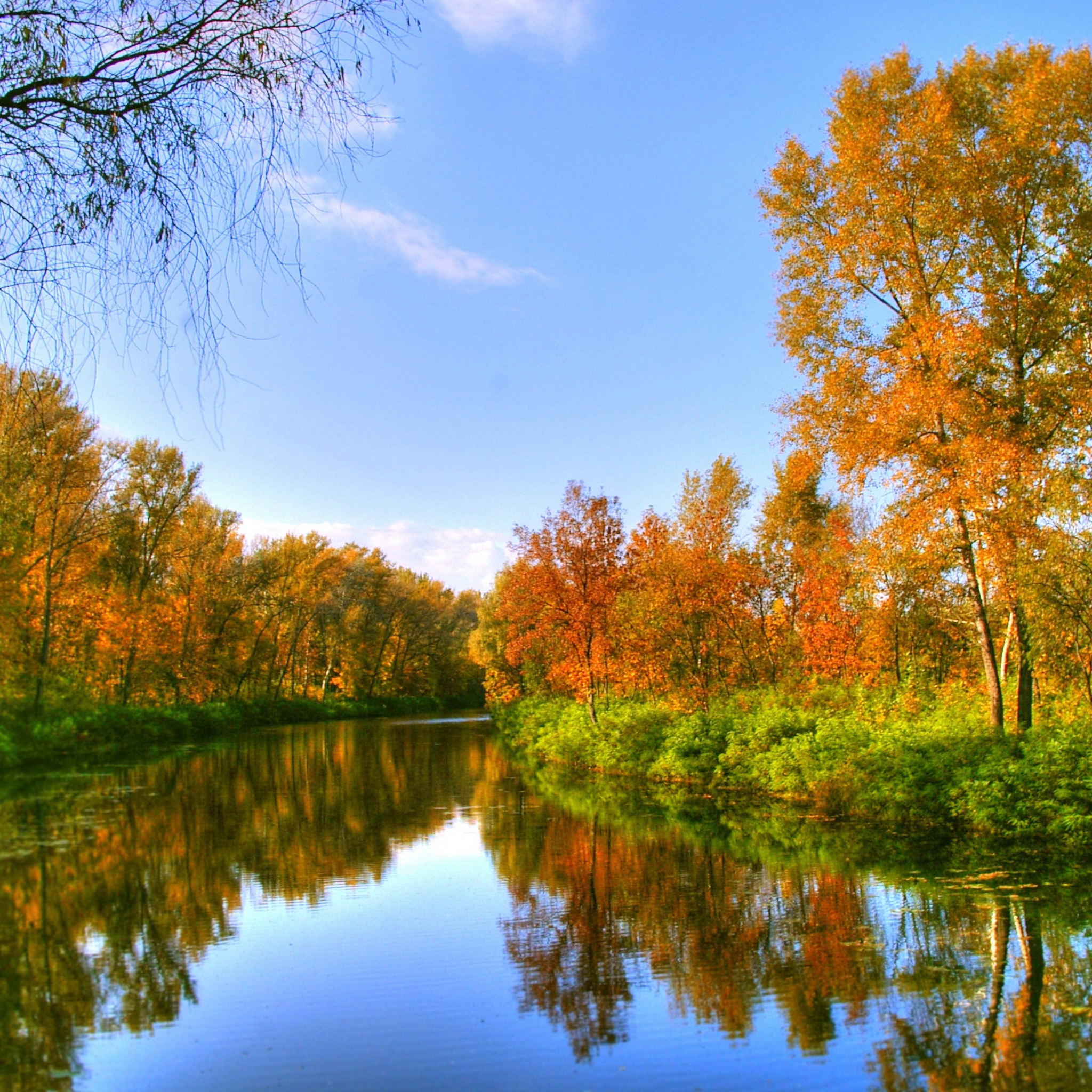 Autumn Color And River