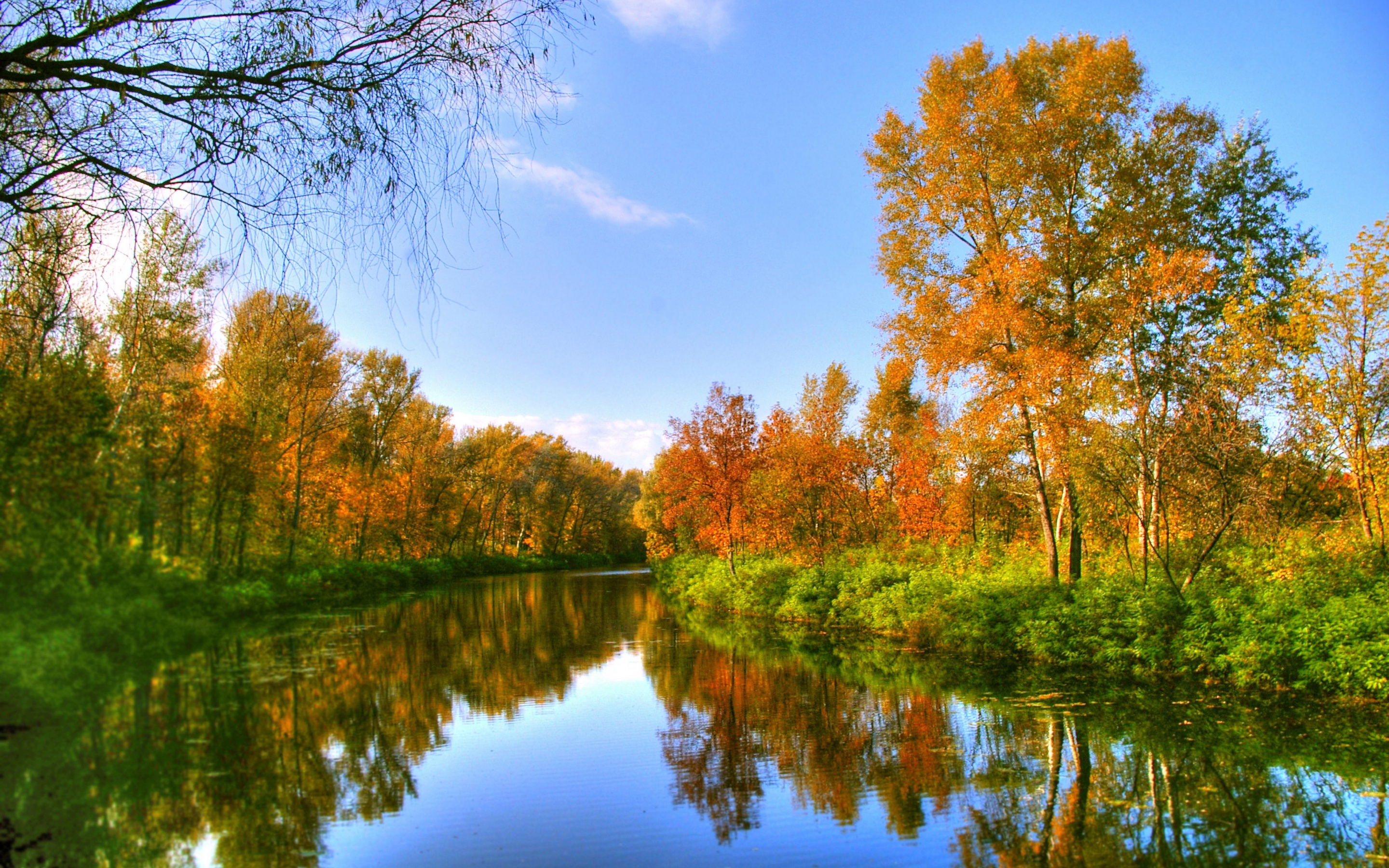 Autumn Color And River