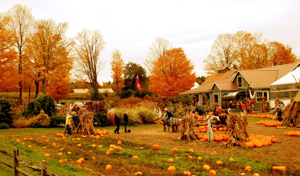 Autumn Pumpkin Festival