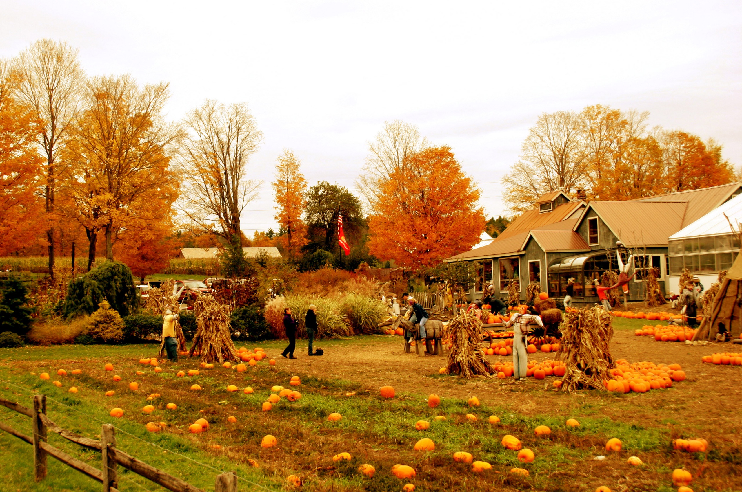 Autumn Pumpkin Festival