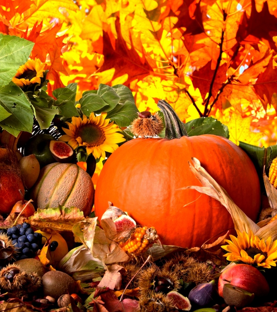 Autumn Season Fruits And Vegetables