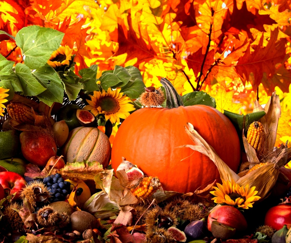 Autumn Season Fruits And Vegetables