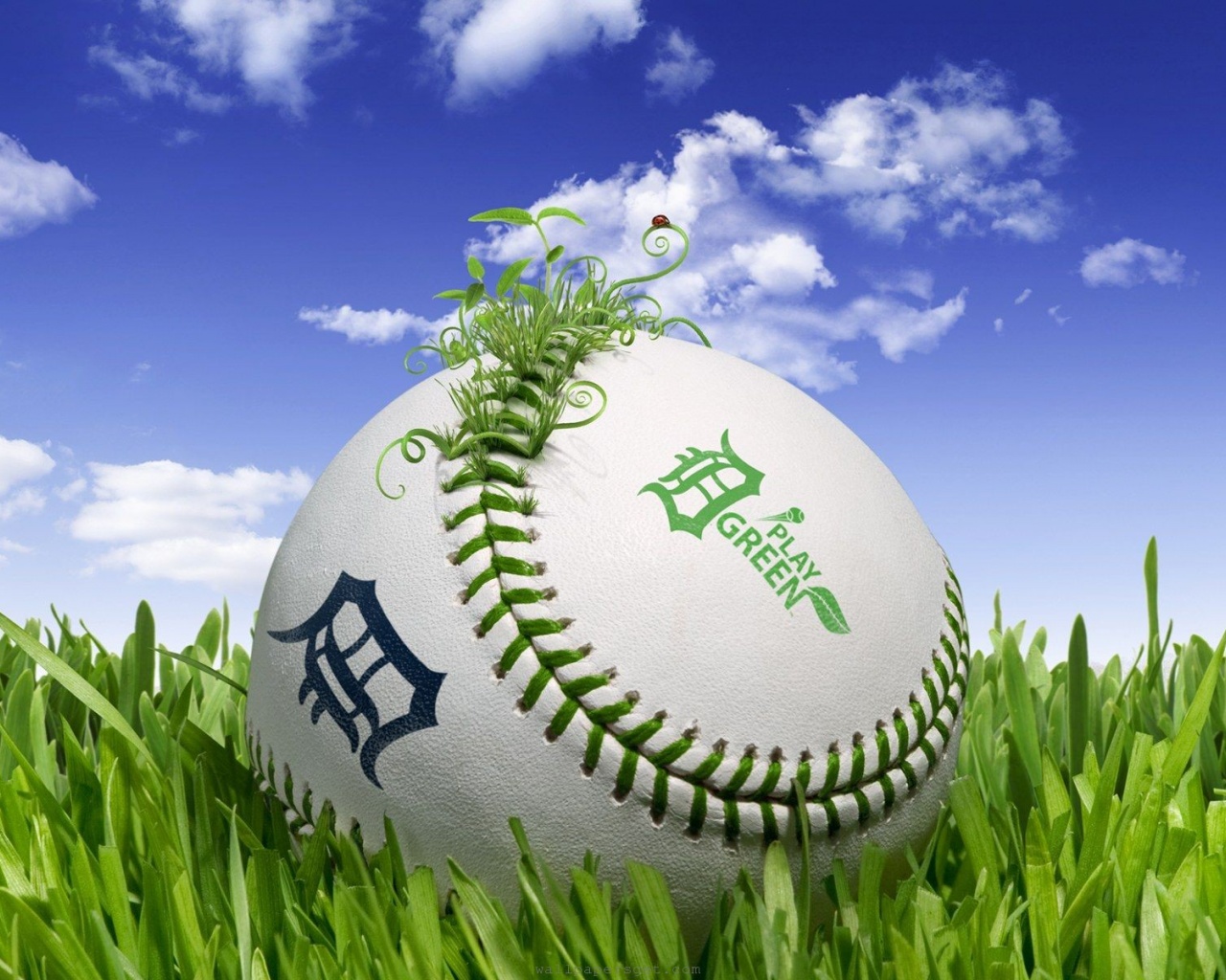 Baseball 3D Play Green Sports