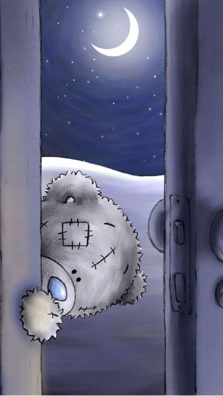 Bear Teddy Door Night Moon