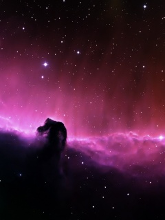 Beautiful Purple Nebula