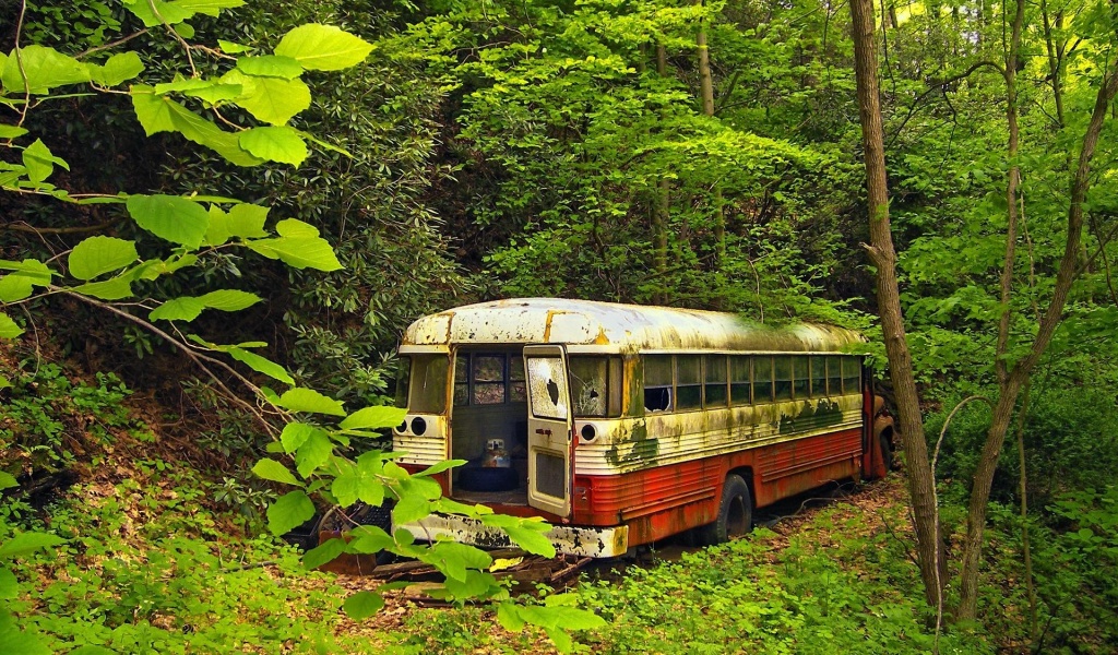 Bus Neglect Forest Nature Landscape