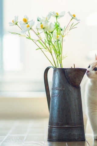 Cat Kitten Vase Flowers