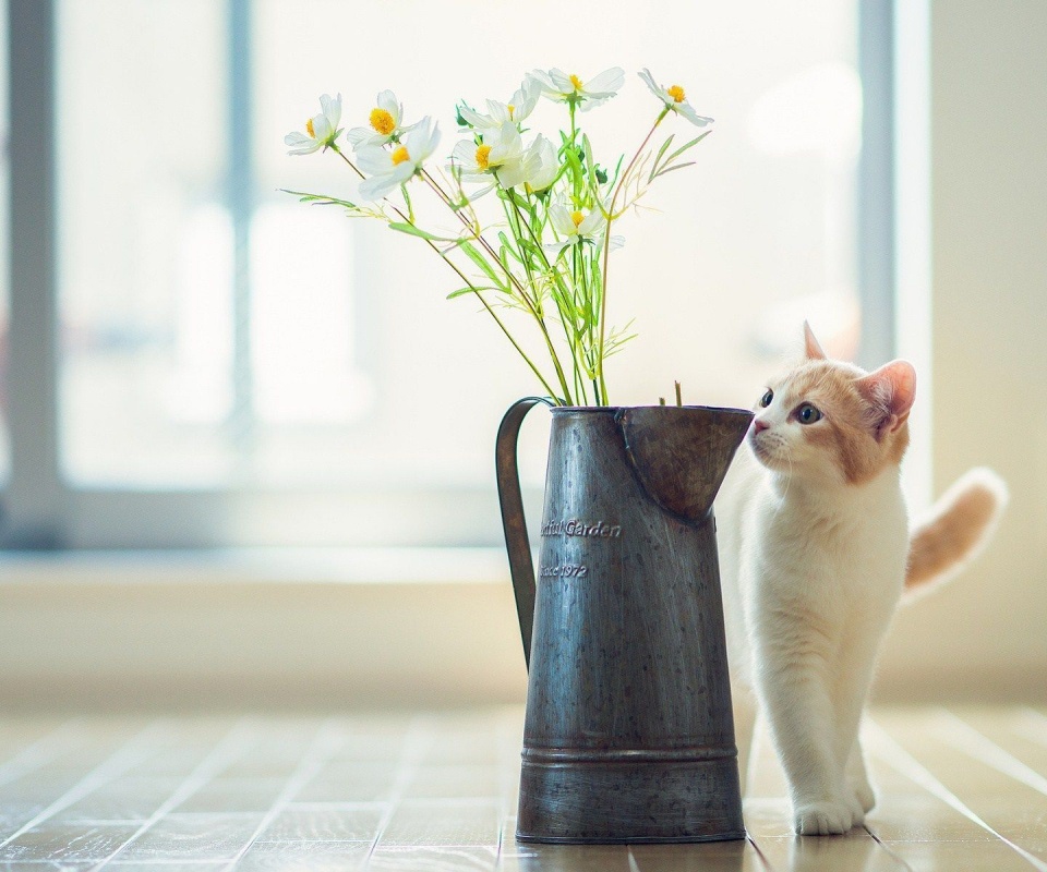 Cat Kitten Vase Flowers