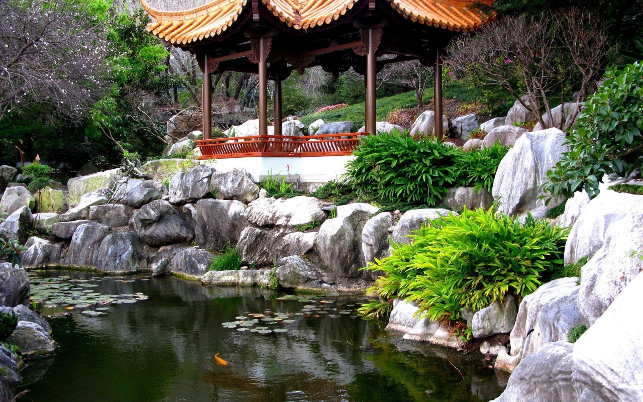 Chinese Garden Sydney Nsw Australia