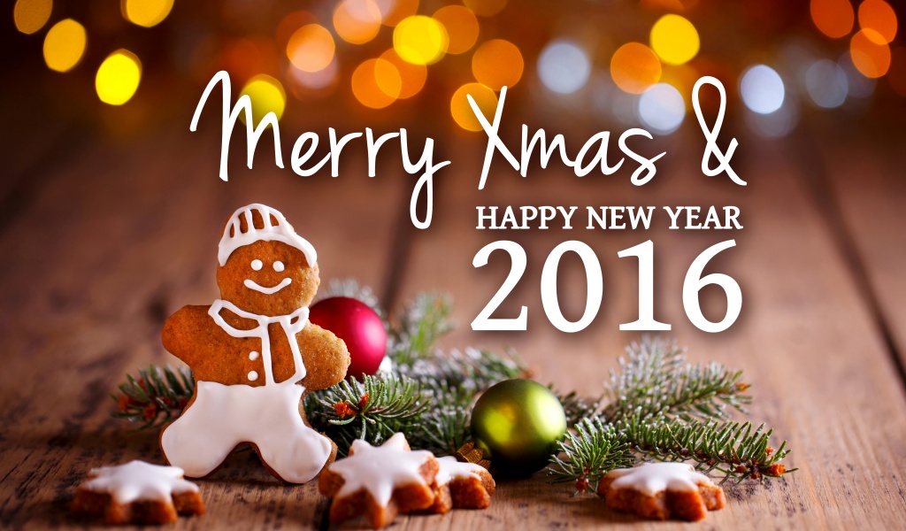 Christmas Cookies 2016 New Year