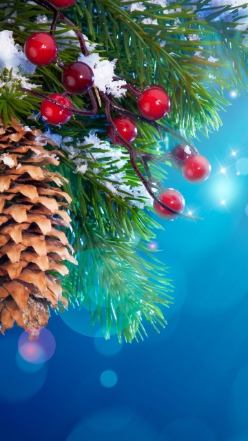 Christmas Tree Branches With Cones