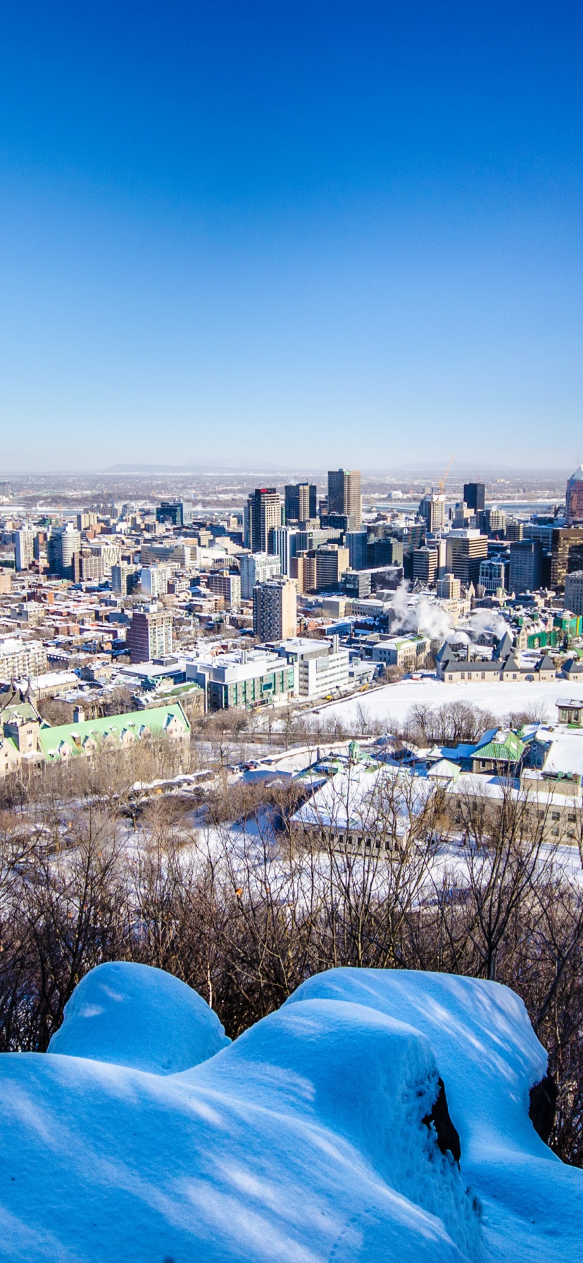 City Of Montreal In Winter