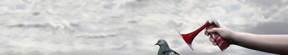 Clouds Birds Funny Pigeons Horn Air