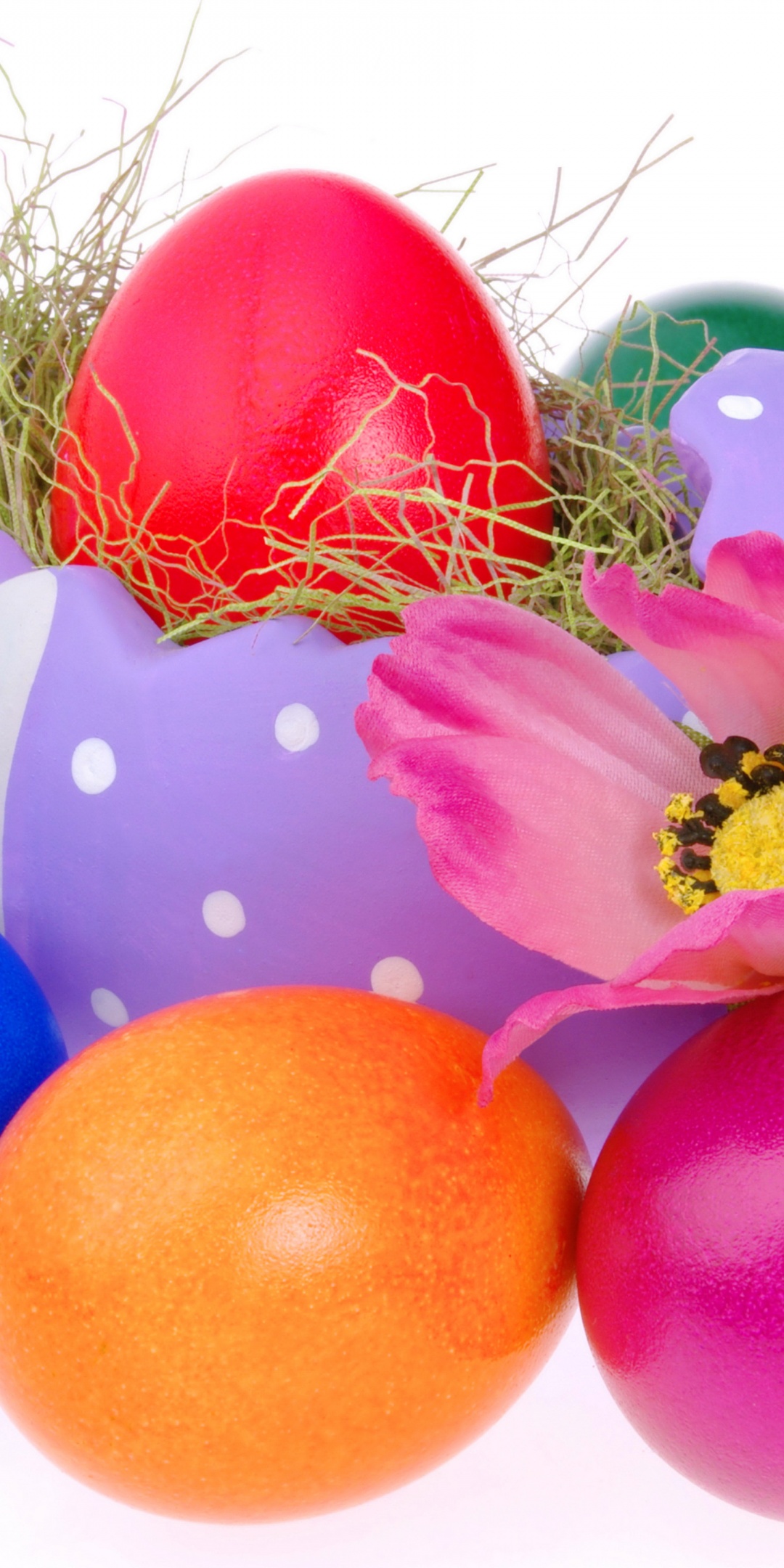 Colorful Easter Eggs And Decoration