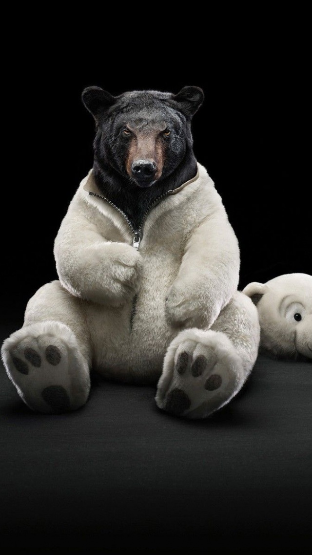 Costume Animals Funny Bears
