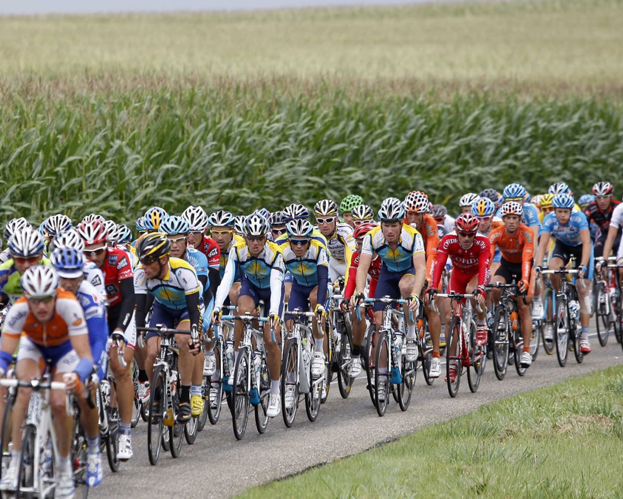 Cyclists - Le Tour De France