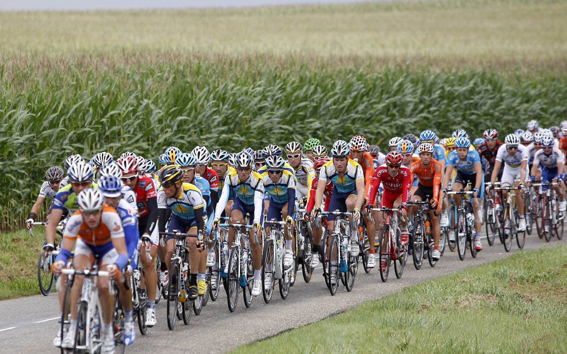 Cyclists - Le Tour De France