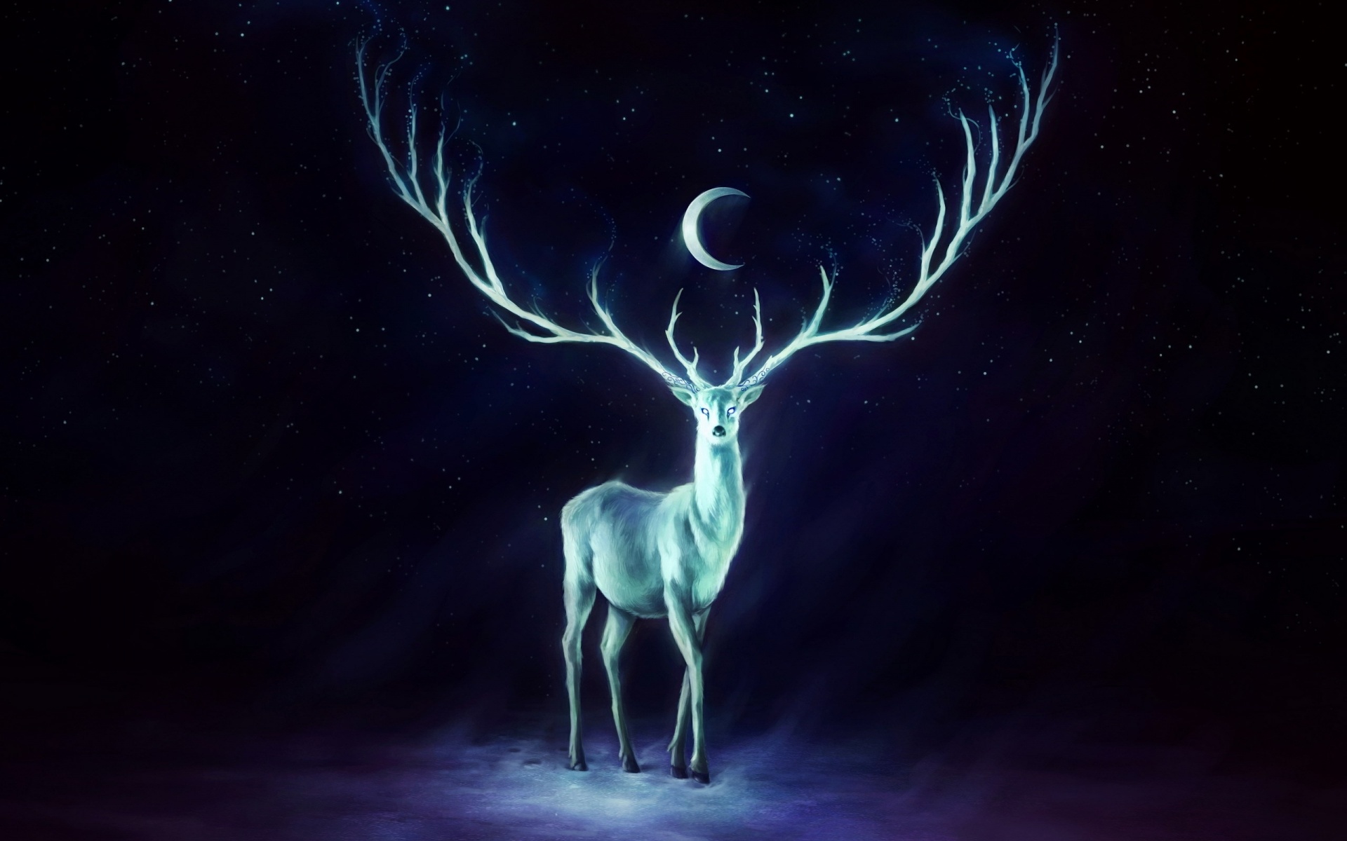Deer Horns Moon Stars