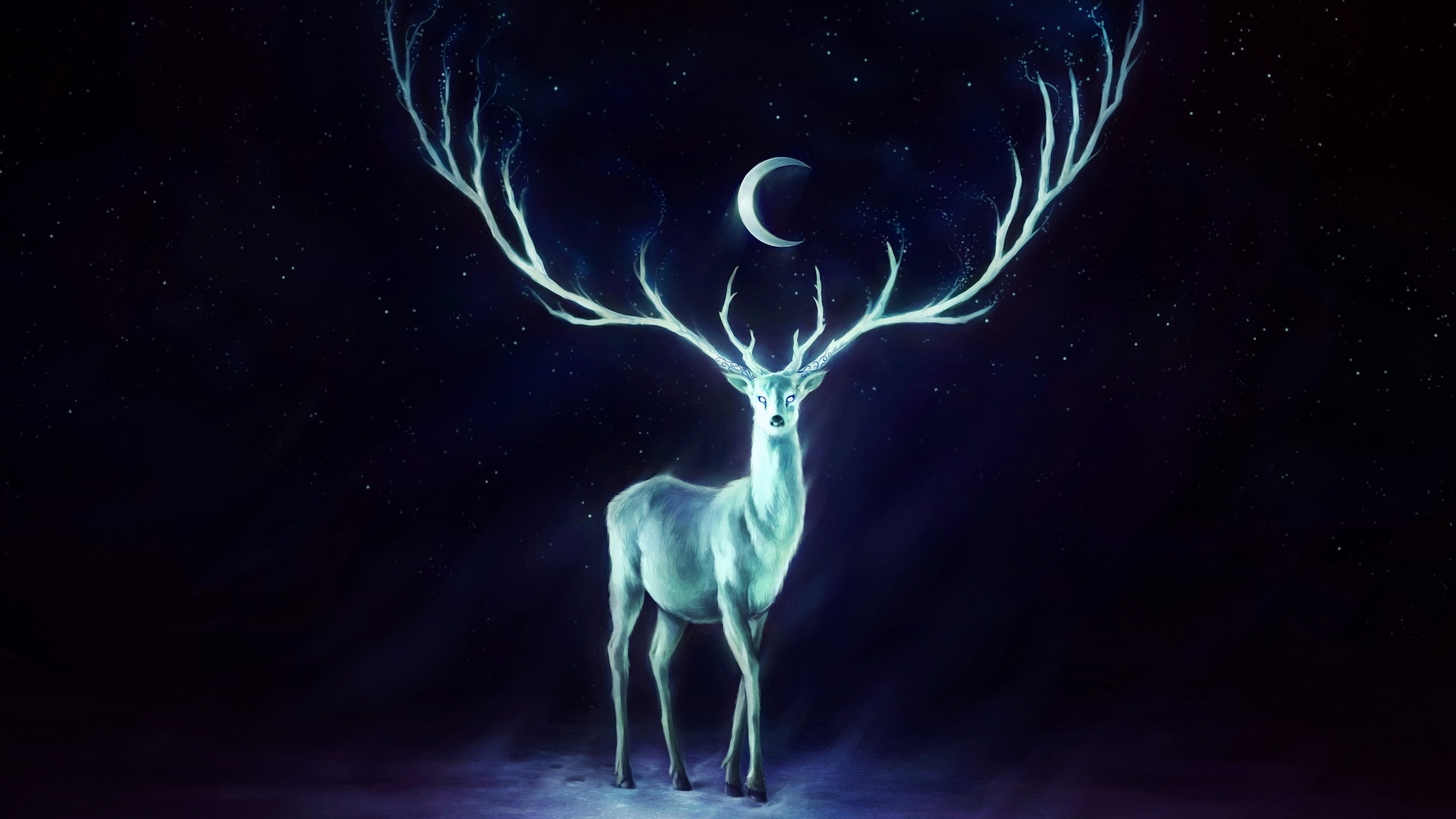 Deer Horns Moon Stars