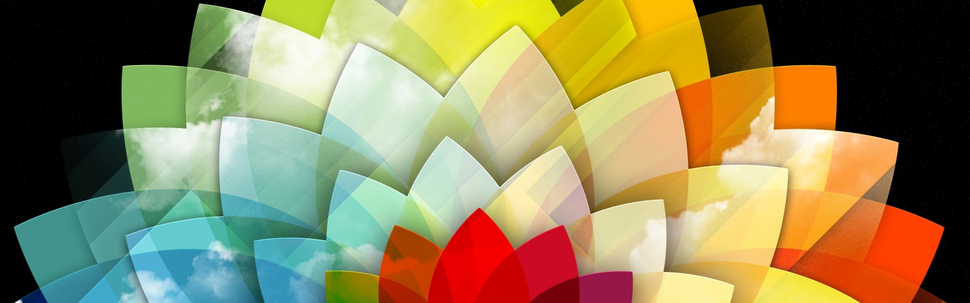 Digital Art Multicolored Flower