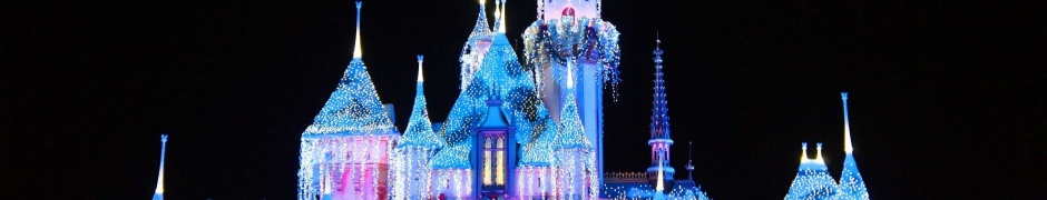 Disney Park Castle Disney