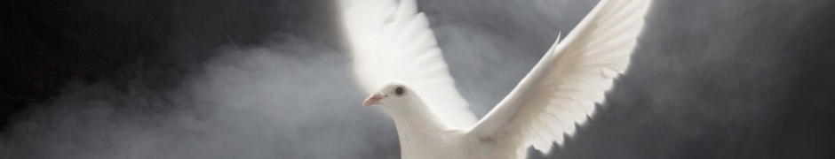 Dove White Wings Scope