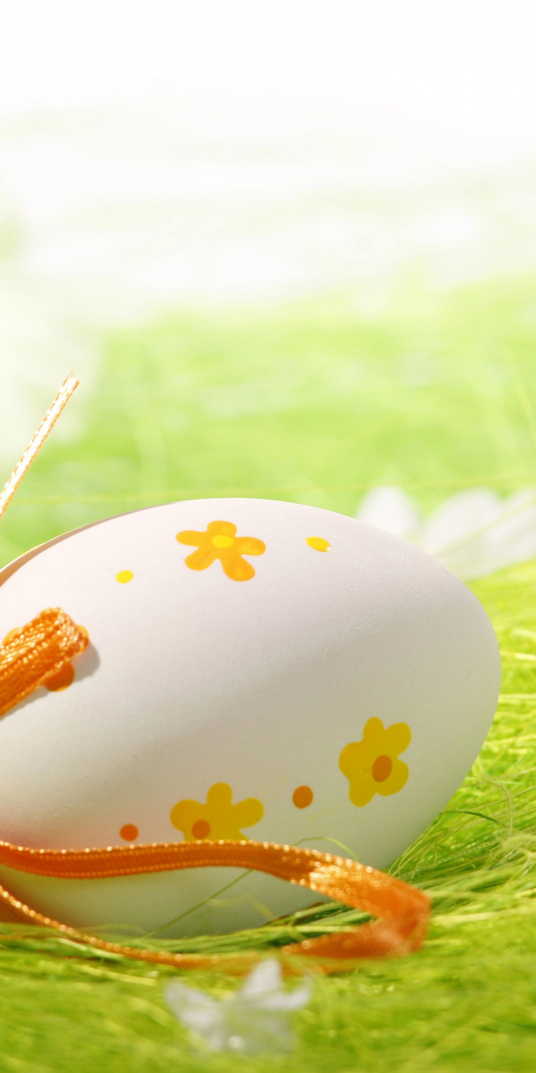 Easter Eggs Closeup