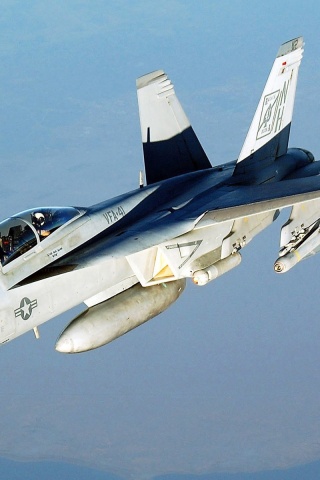 Fa 18 Hornet Vfa 41 Fighter
