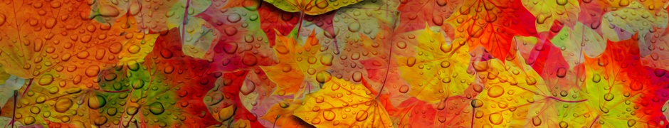 Fall Leaves Pattern
