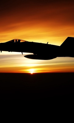 Fighter Flying In Dusk Sky