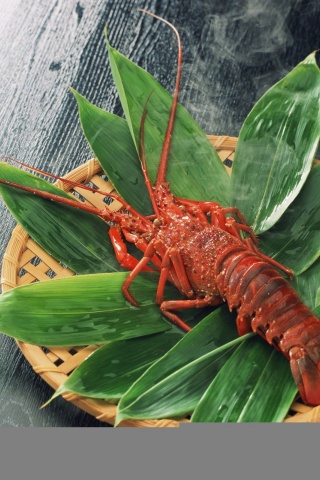 Food Lobsters