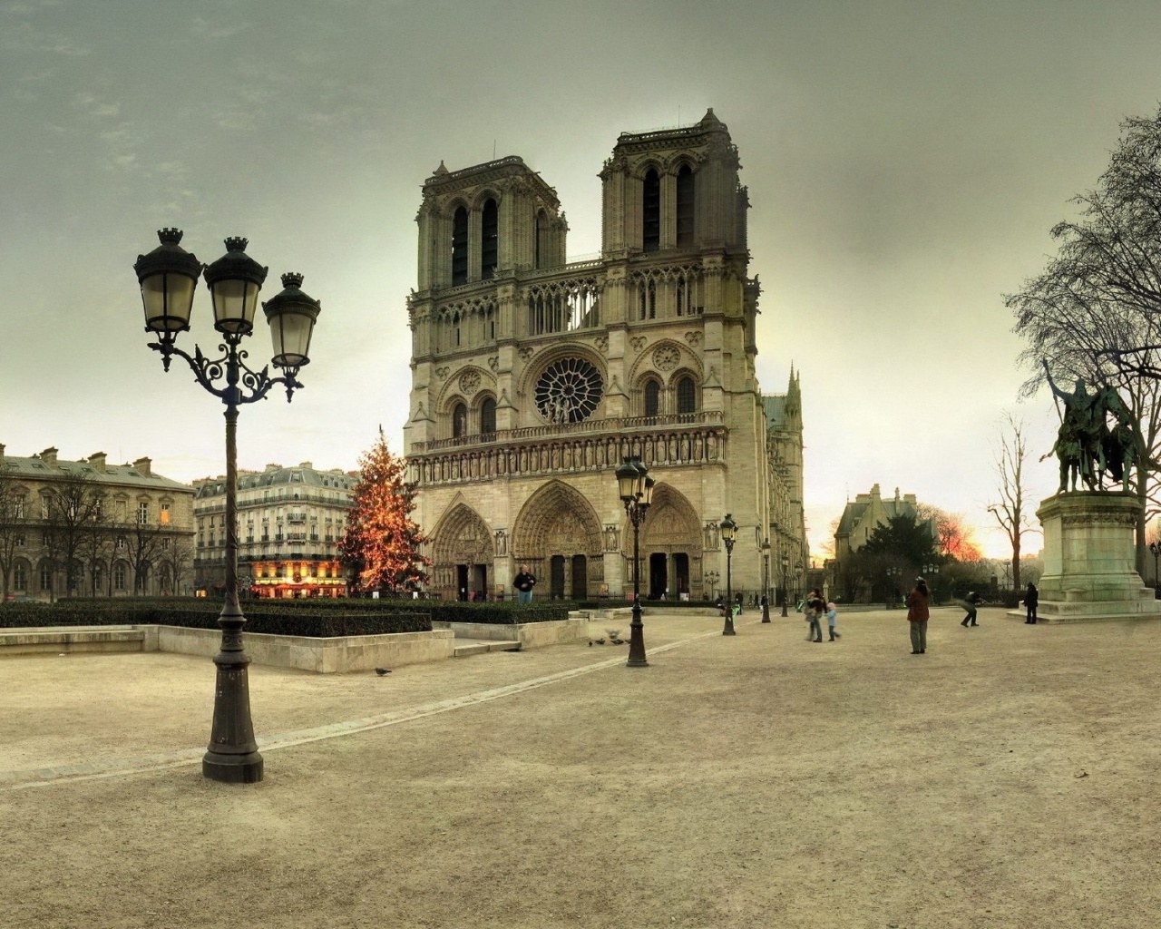 France Notre Dame De Paris Paris Tree Winter New Year Area Notre Dame Lights City Landscape