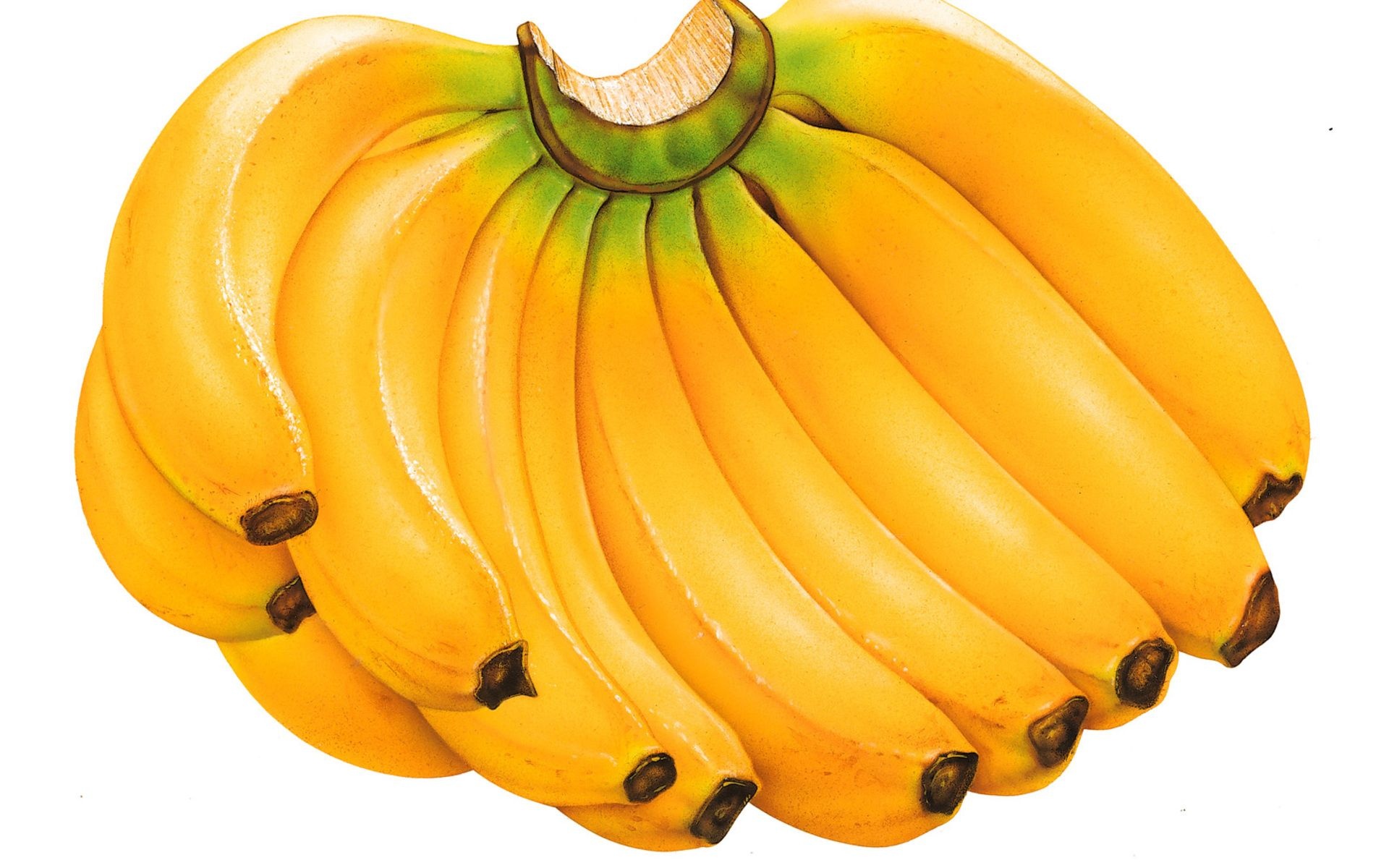 Fruits Food Bananas