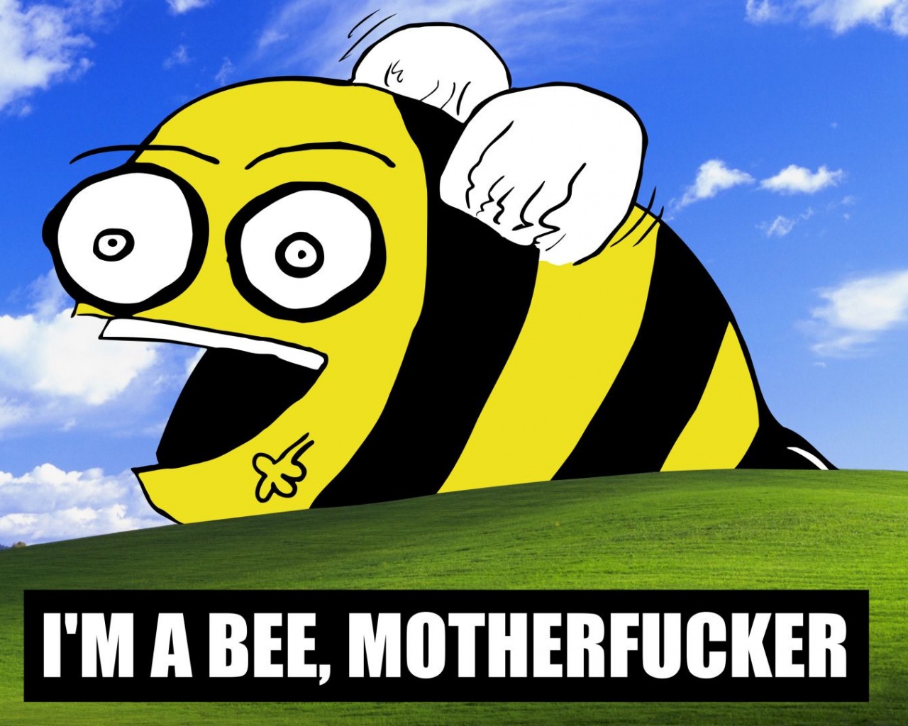 Funny Bees