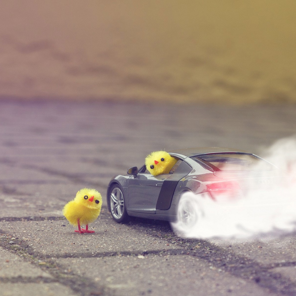 Funny Yellow Chickens In Audi R8